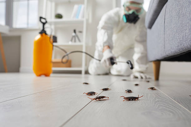 Commercial Rodent Management in Nixa